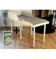 Pot'anque + Mini Mölkky.